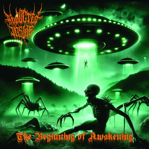 The Beginning of Awakening